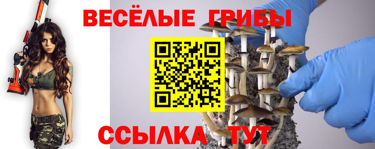 Рыбинск  Псилоцибиновые грибы Cubensis  Вход с VPN 
